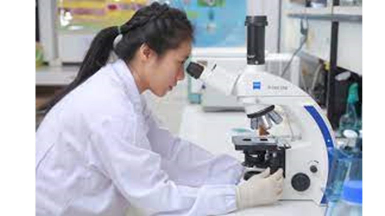 Microscope based skills training (Summer Camp 2025)