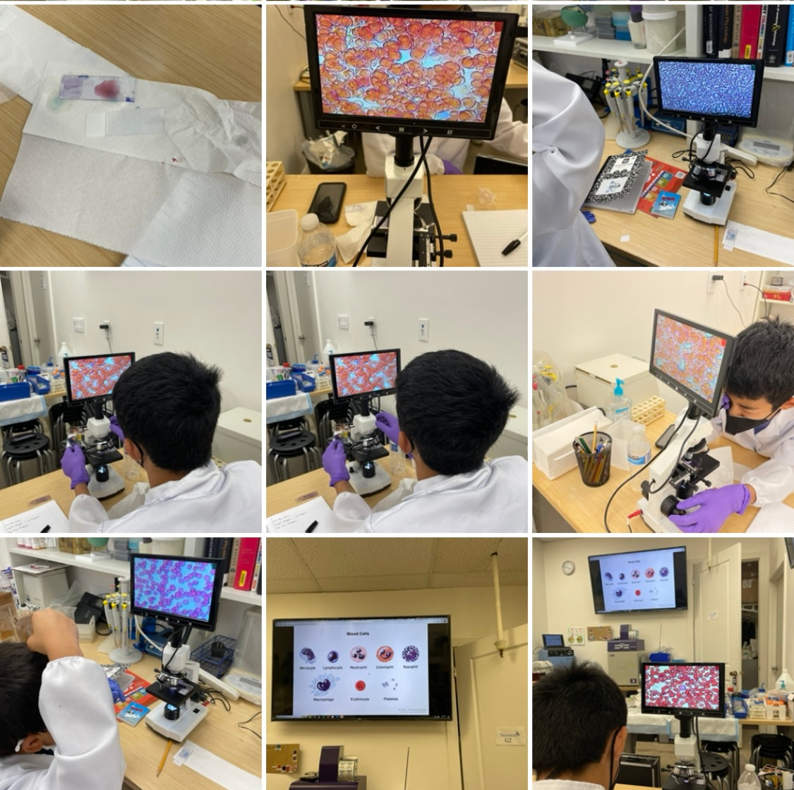 Bacteria & Virus learning ( summer camp 2025)