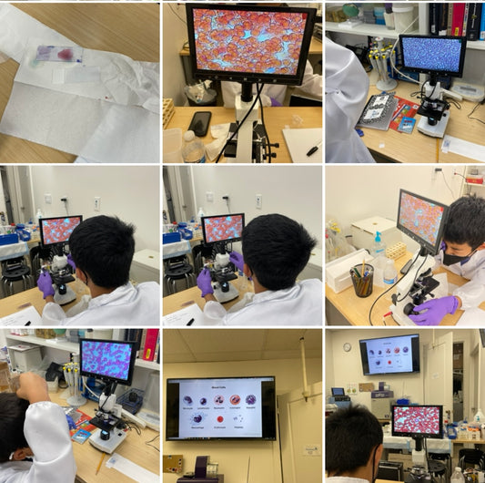 Bacteria & Virus learning ( summer camp 2025)